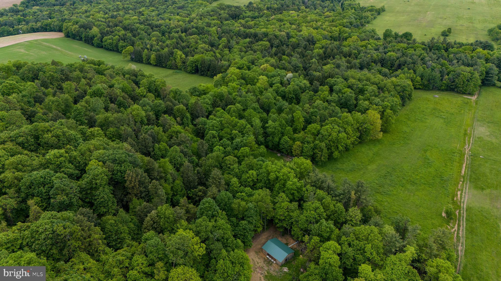 2431 Sylvis Road Cherry Tree, PA 15724 - Photo 68 of 79