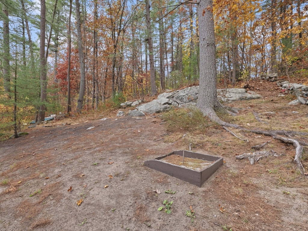 38 Mohawk Drive Acton, MA 01720 - Photo 34 of 35 a view of a yard with trees