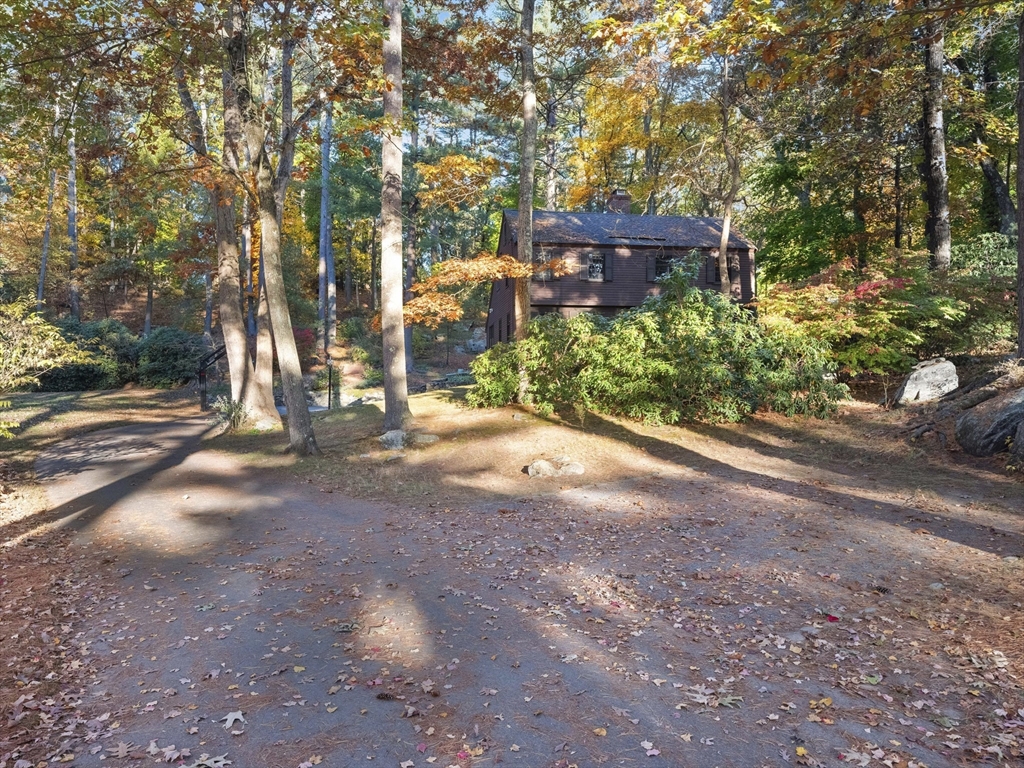 38 Mohawk Drive Acton, MA 01720 - Photo 35 of 35 a view of a street with potted plants and large trees