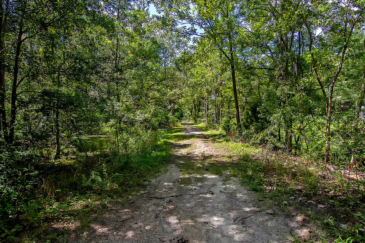 315 Eagle Ridge Road Summerville, SC 29485 - Photo 58 of 62 CREM_Bridges of Summerville_005