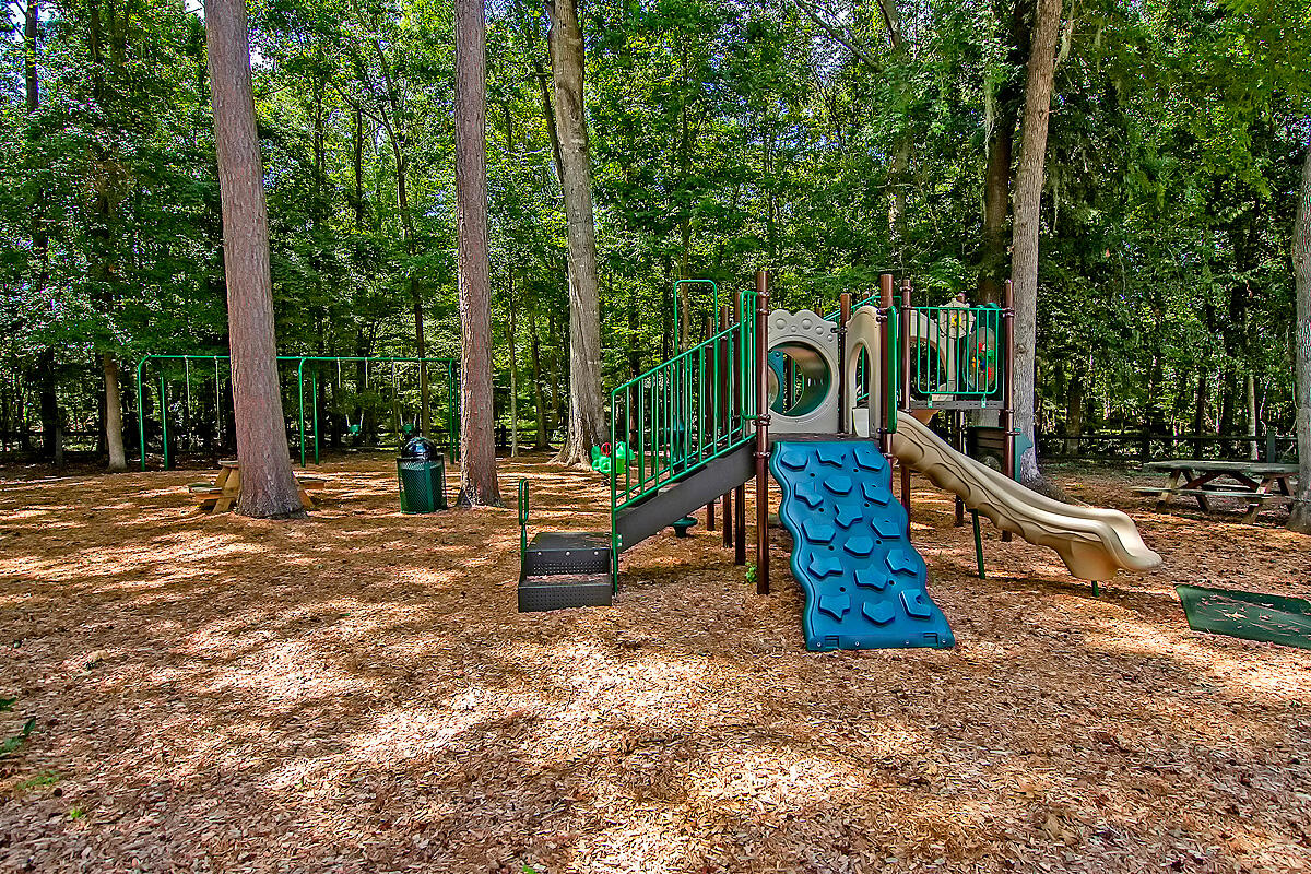315 Eagle Ridge Road Summerville, SC 29485 - Photo 60 of 62 CREM_Bridges of Summerville_008