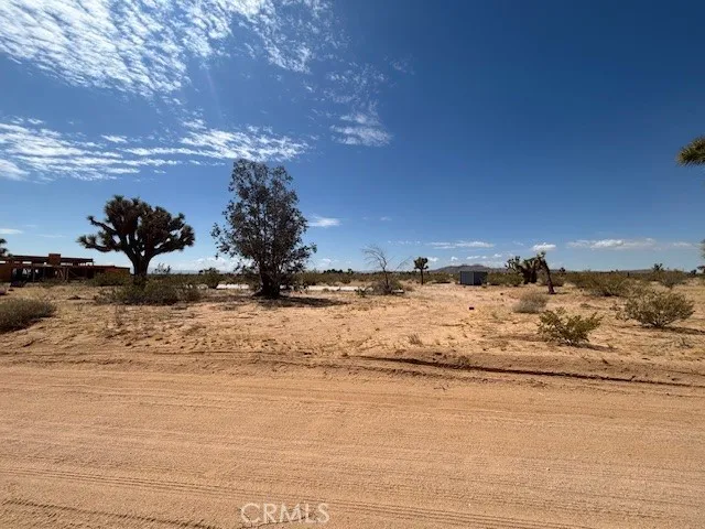 a view of a yard with snow