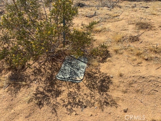 1 Mitch Road Landers, CA 92285 - Photo 12 of 12 a view of a yard