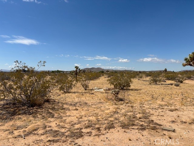 1 Mitch Road Landers, CA 92285 - Photo 3 of 12