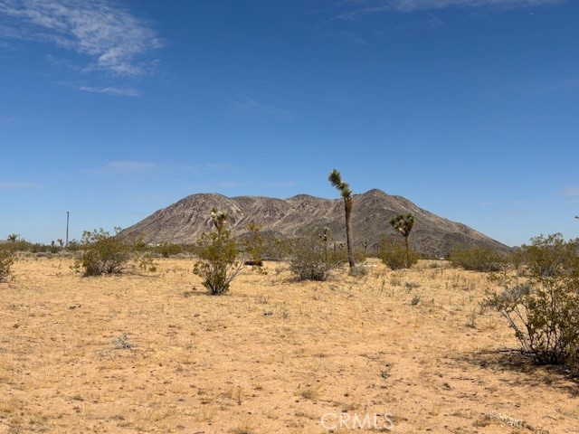 1 Mitch Road Landers, CA 92285 - Photo 10 of 12 a view of a snow yard