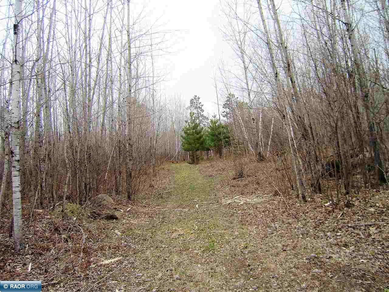 Tbd Hart Lake Road Goodland, MN 55742 - Photo 2 of 10 Gallery Image 2