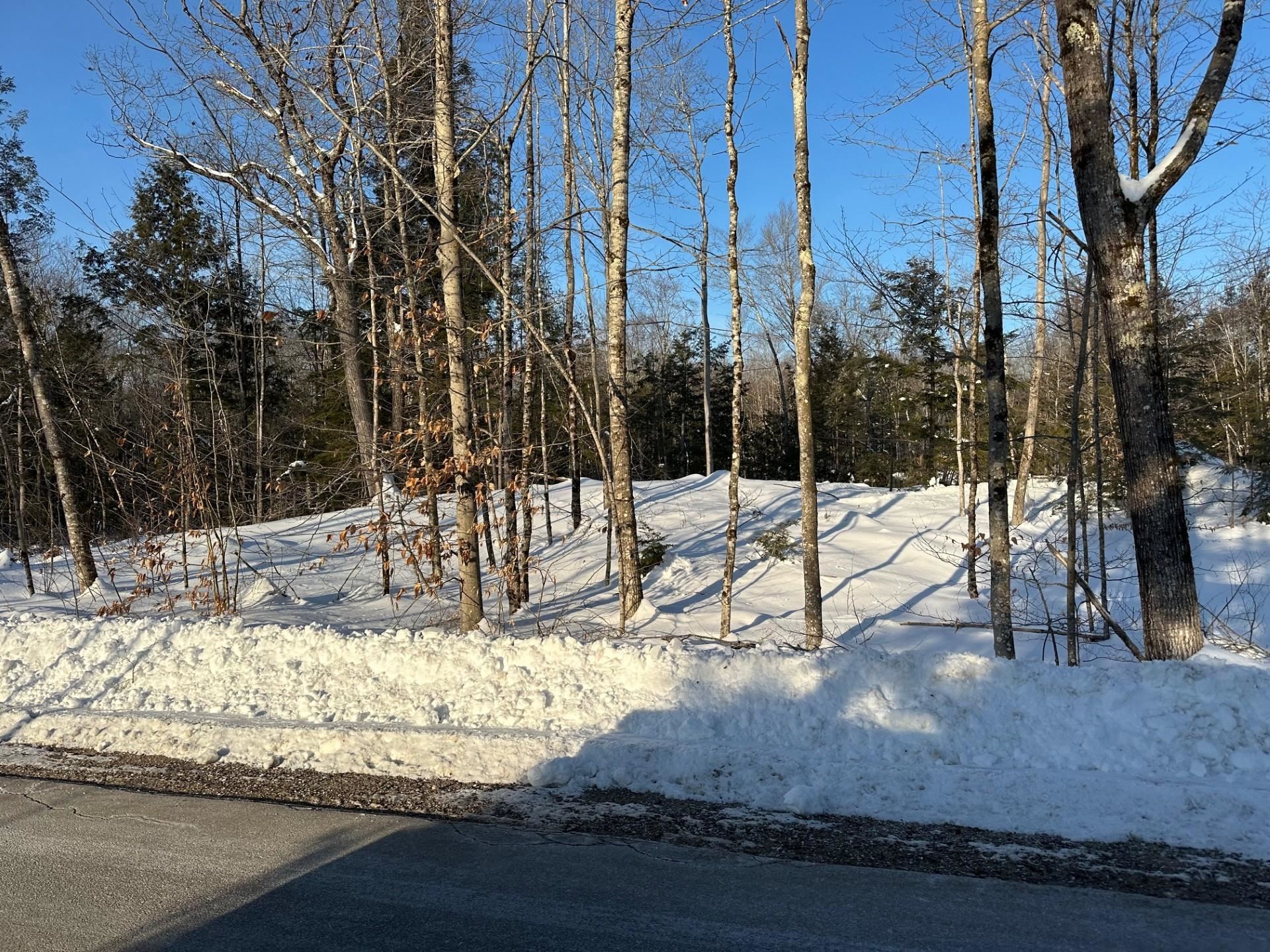 0 Pinkham Road Middleton, NH 03887 - Photo 1 of 2