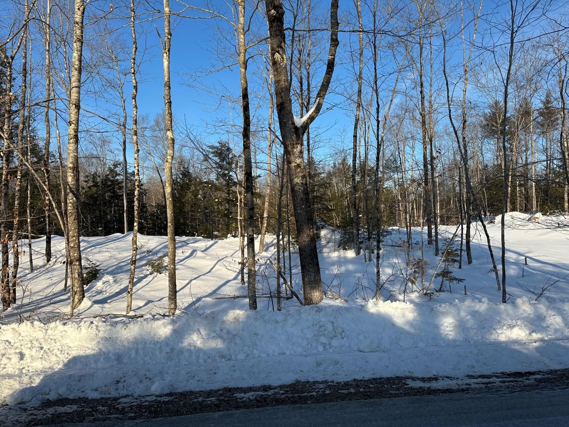 0 Pinkham Road Middleton, NH 03887 - Photo 2 of 2