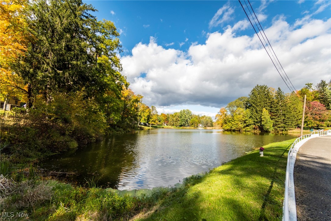 29654 Buck Road Salem, OH 44460 - Photo 4 of 41 community lake