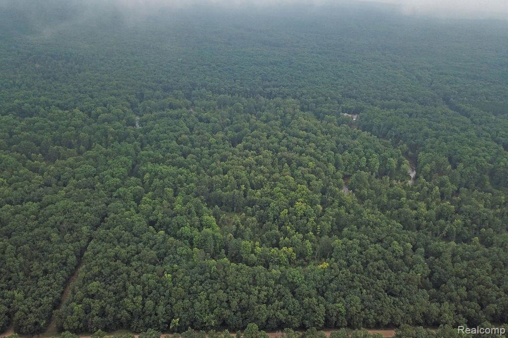 9670 South County Line Road Manistee, MI 49660 - Photo 12 of 93 DJI_0352.jpg