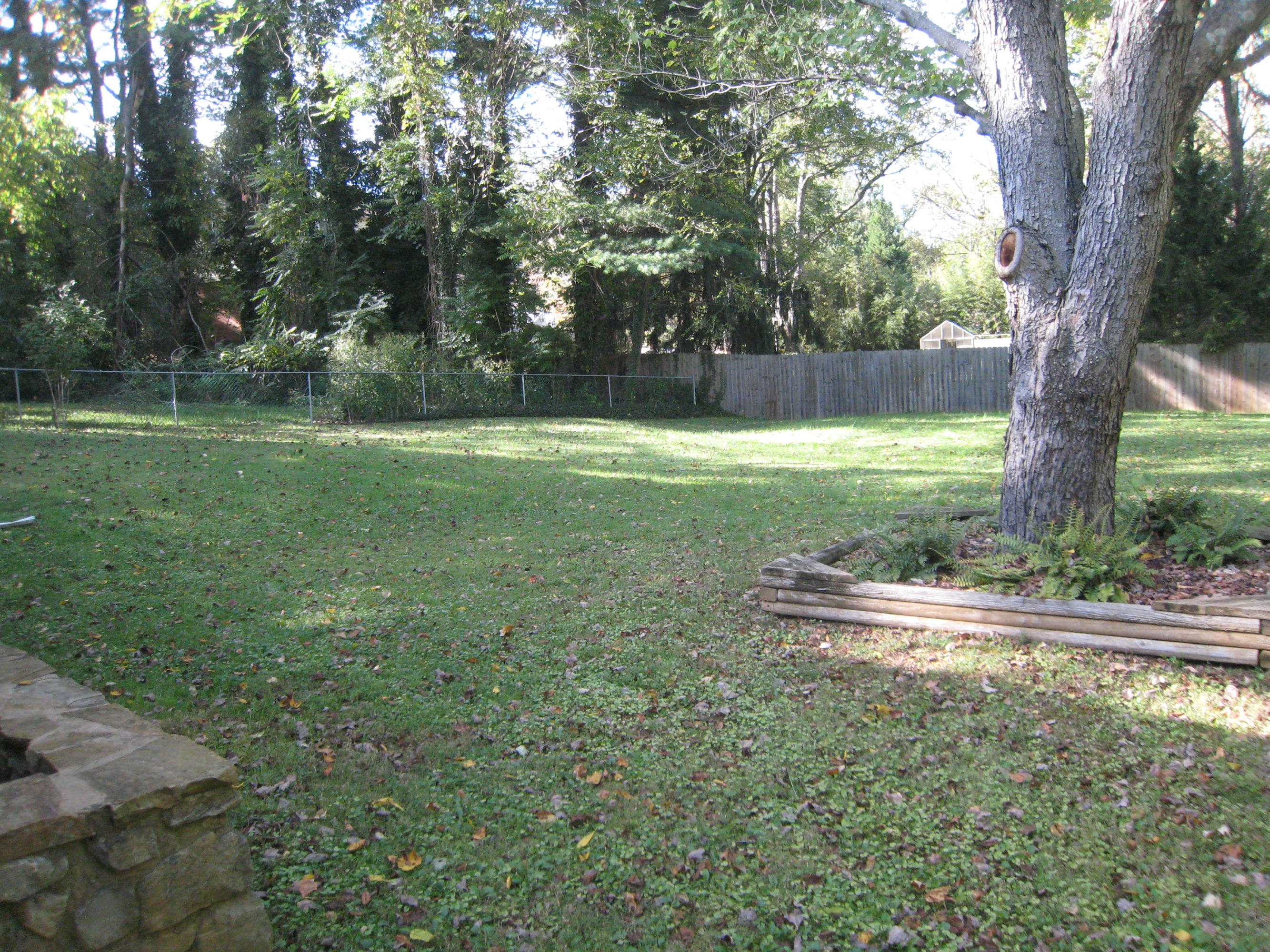 3429 Halevan Road Roanoke, VA 24018 - Photo 7 of 38 Backyard 1