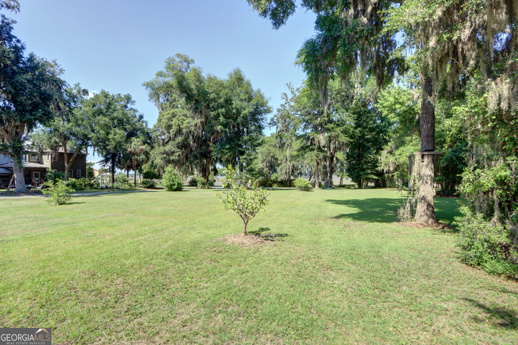 0 Brigantine Dunmore Road Midway, GA 31320 - Photo 11 of 16