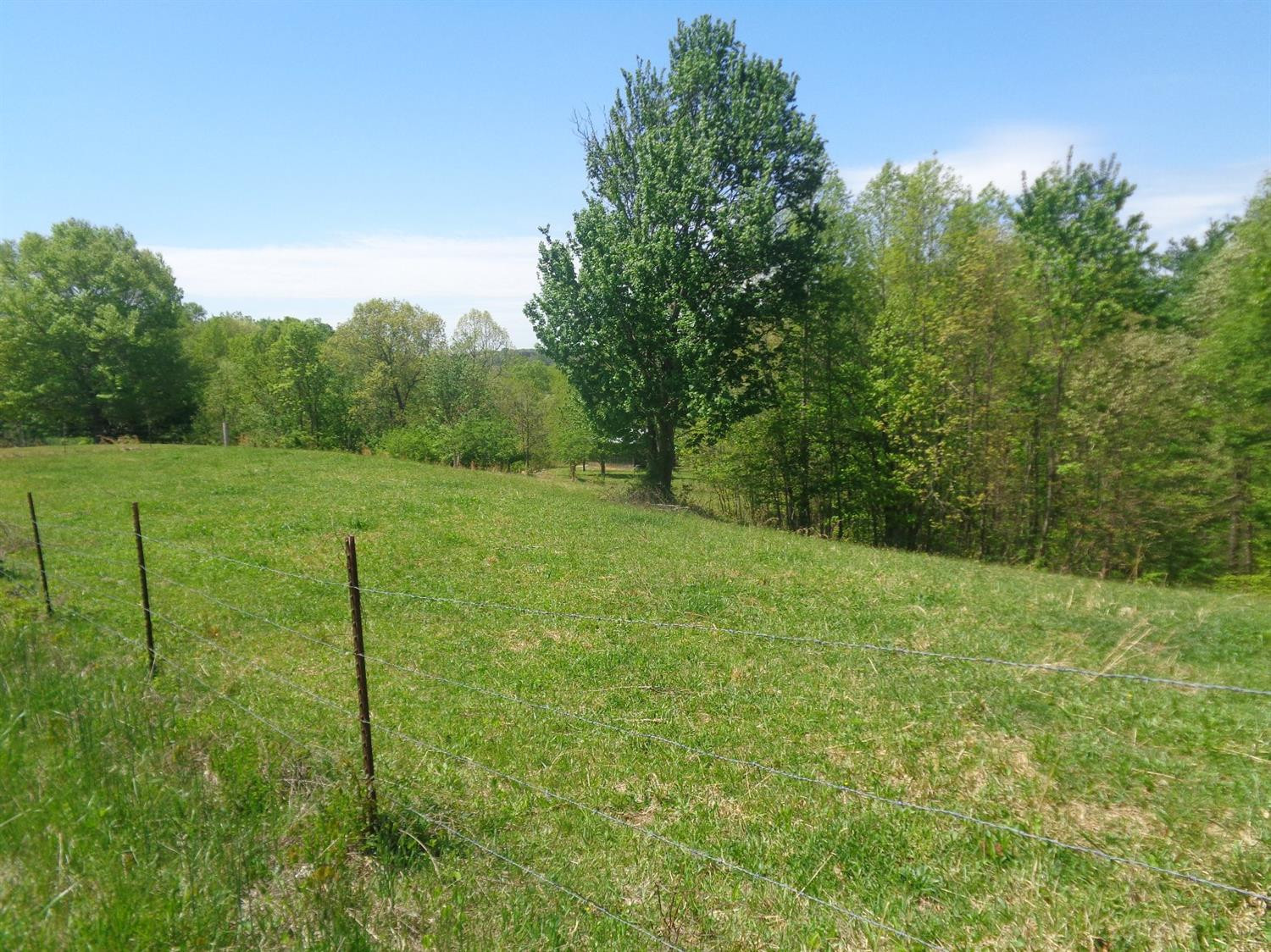 4300 Slate Lick Road London, KY 40741 - Photo 7 of 18 Listing Photo