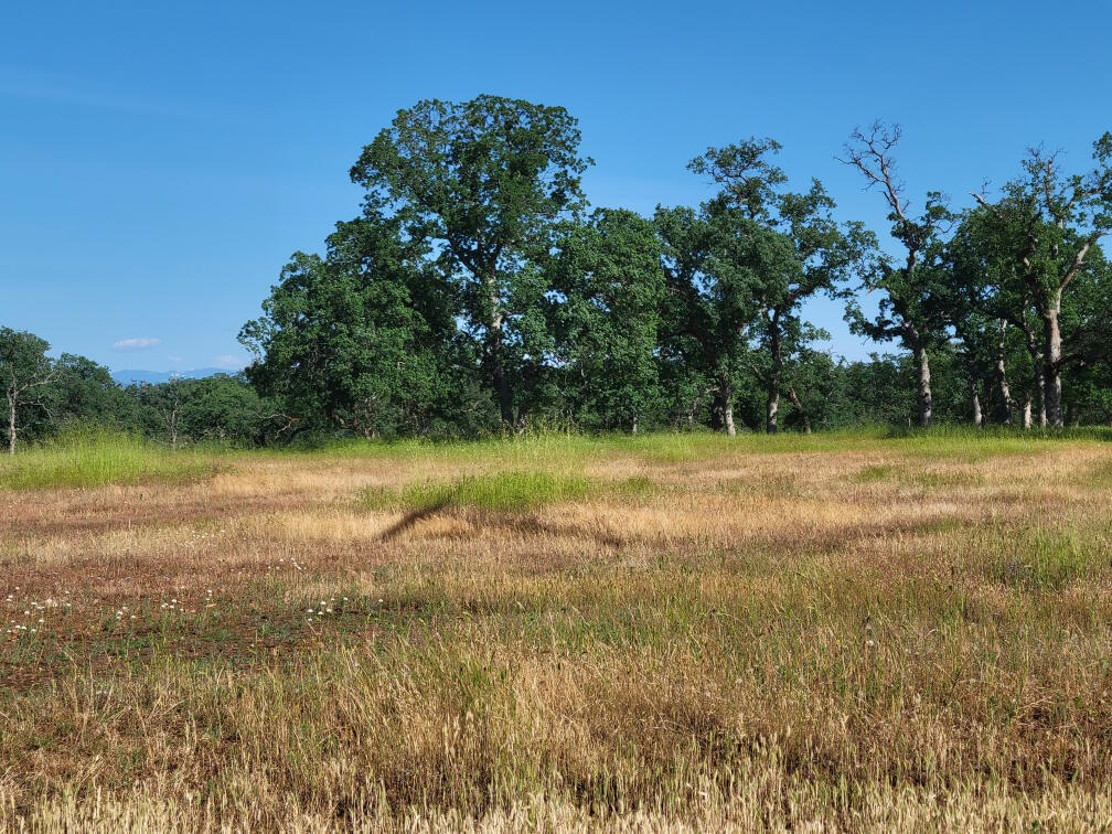Bass Pond Road Millville, CA 96062 - Photo 1 of 4 060400016 03