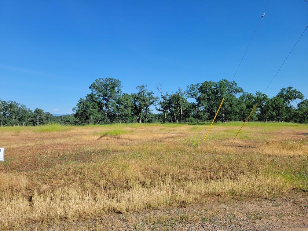 Bass Pond Road Millville, CA 96062 - Photo 3 of 4 060400016 02