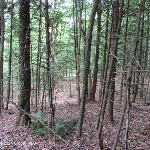 $30,000 | L2 Palmer Lane, Northville, NY 12134