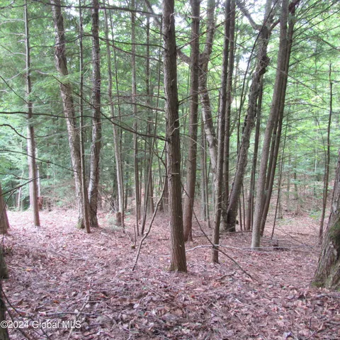 $30,000 | L2 Palmer Lane, Northville, NY 12134