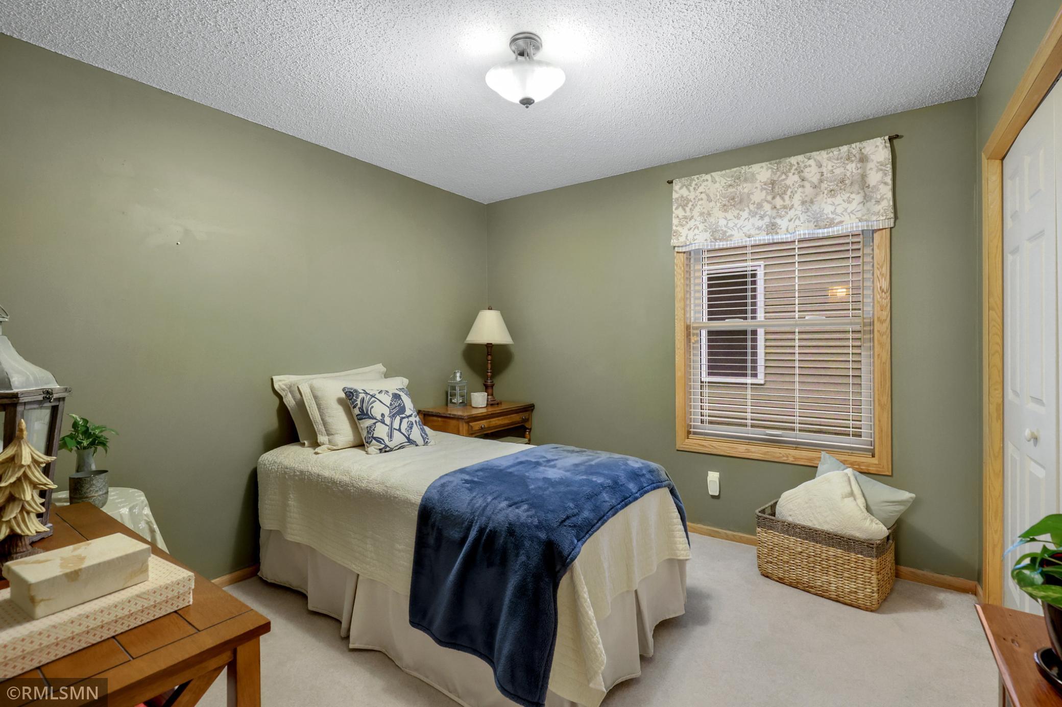 14547 Bloomfield Path Rosemount, MN 55068 - Photo 19 of 27