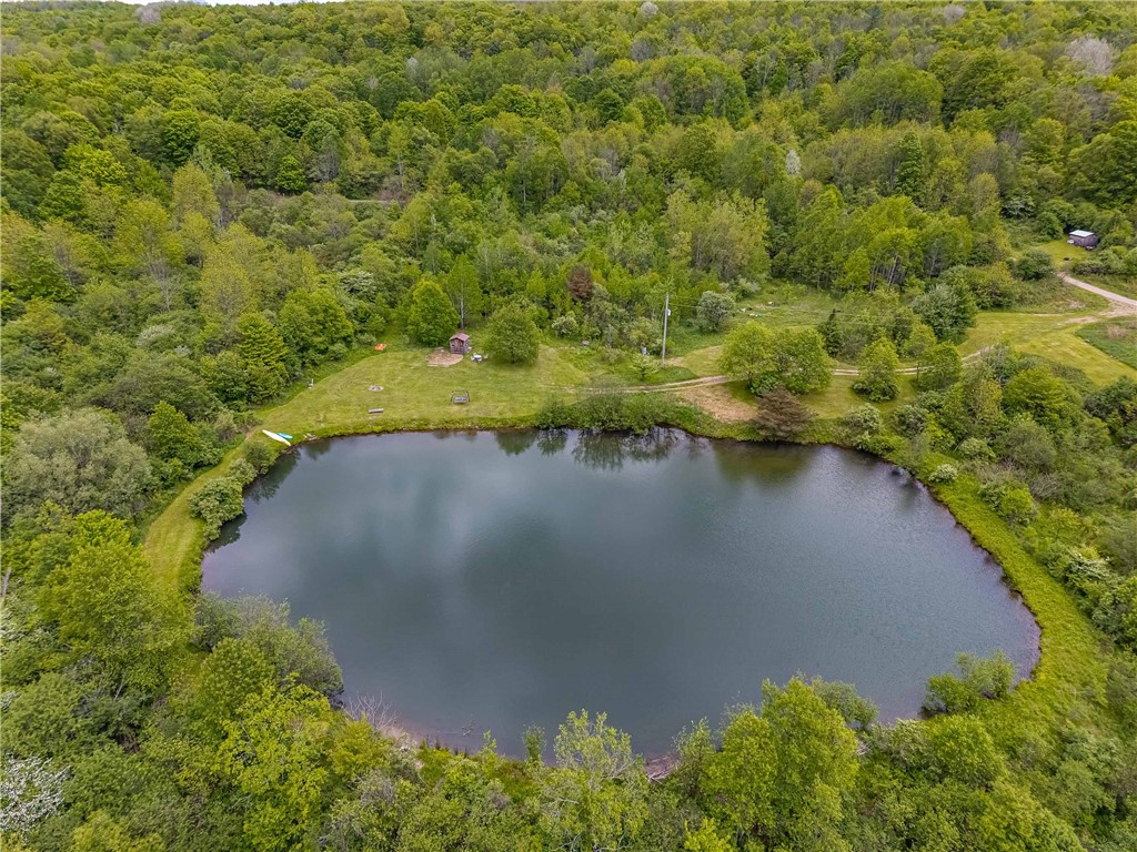 3356 Joe McMahon Road Birdsall, NY 14822 - Photo 23 of 50 Drone Footage