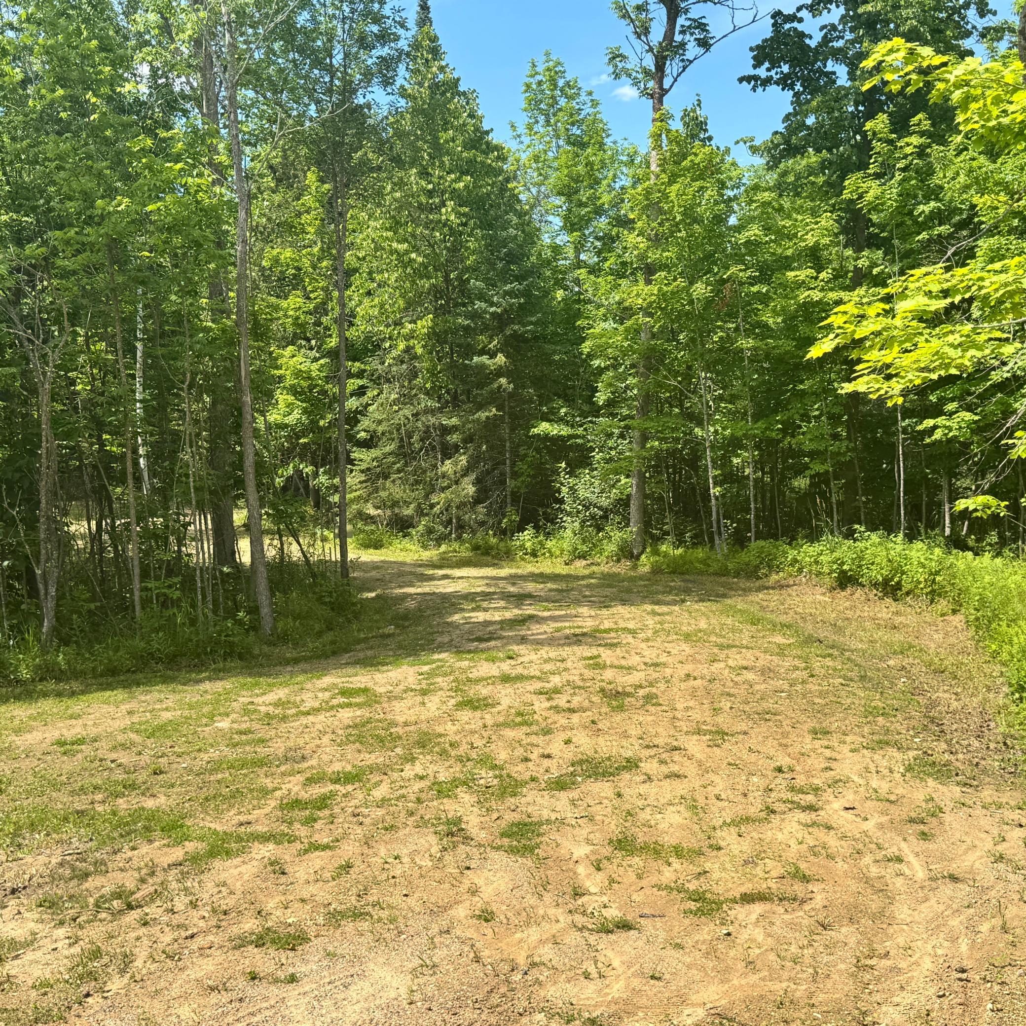 Tbd South Gull Lake Road Northeast Tenstrike, MN 56683 - Photo 13 of 18