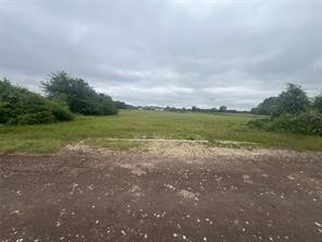 a view of a field with trees in background