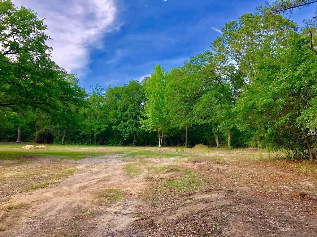 3012 Old Sudlow Lake Road North Augusta, SC 29841 - Photo 4 of 12