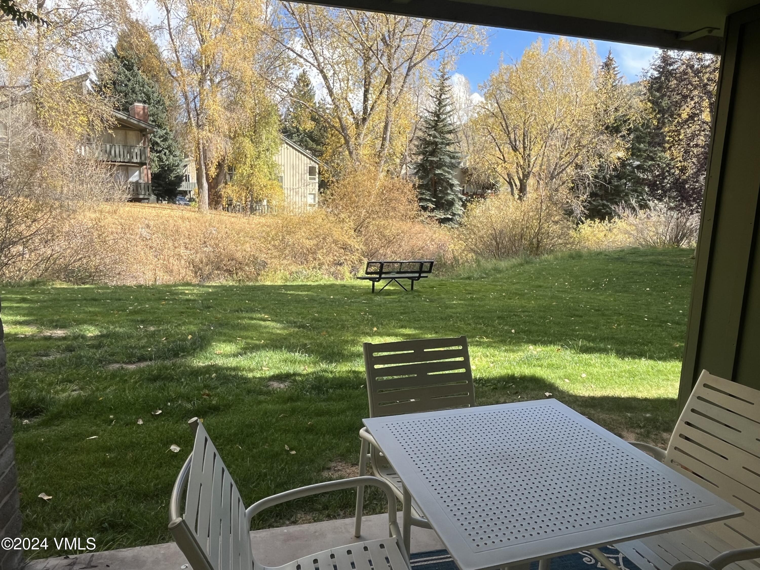 1020 Vail View Drive, Unit 110839 Vail, CO 81657 - Photo 3 of 21 a view of a chairs and table in the garden