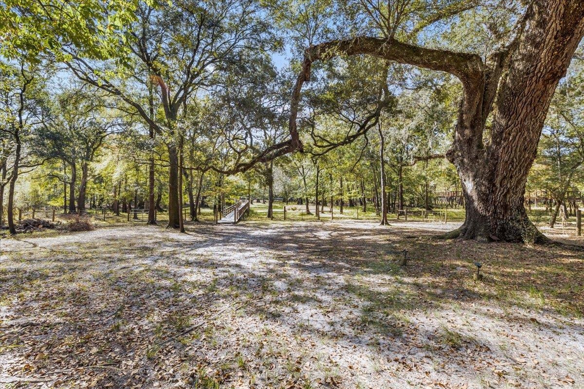 28446 29th Loop Branford, FL 32008 - Photo 28 of 46 Gallery Image 28