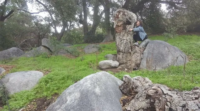 a view of swimming pool with outdoor seating