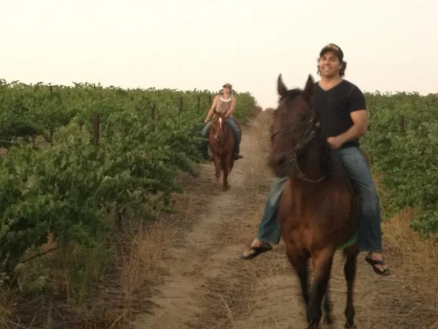 a view of a house with a park