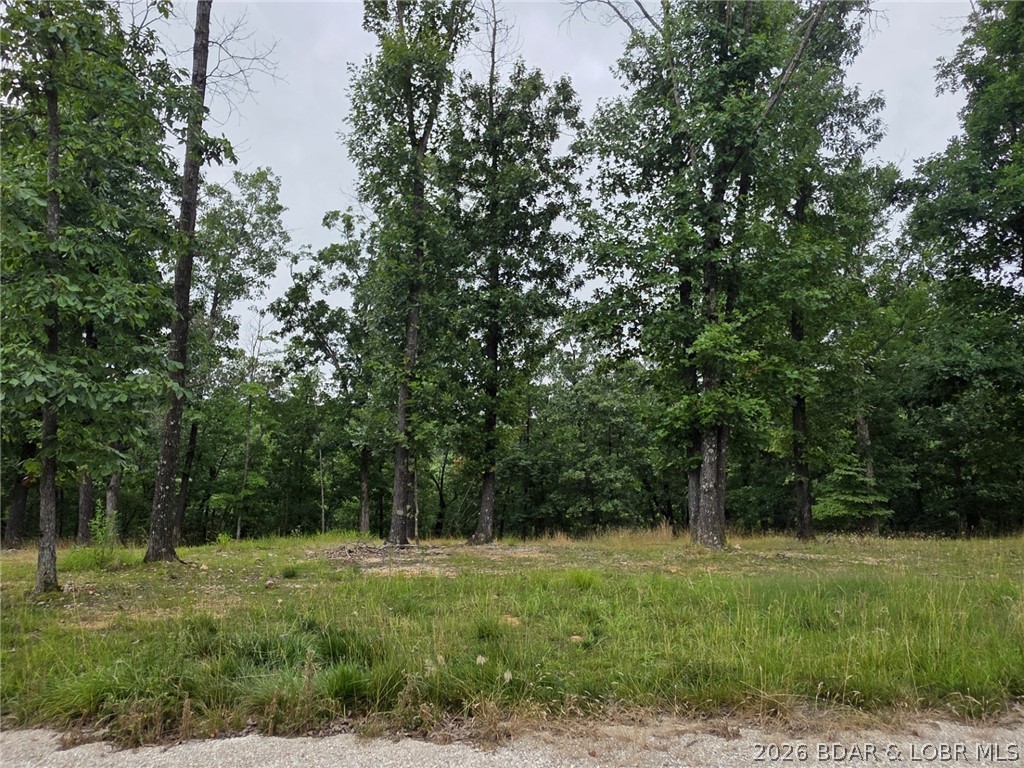 Lot 102 Terry Rd Lake Lake Ozark, MO 65049 - Photo 4 of 16