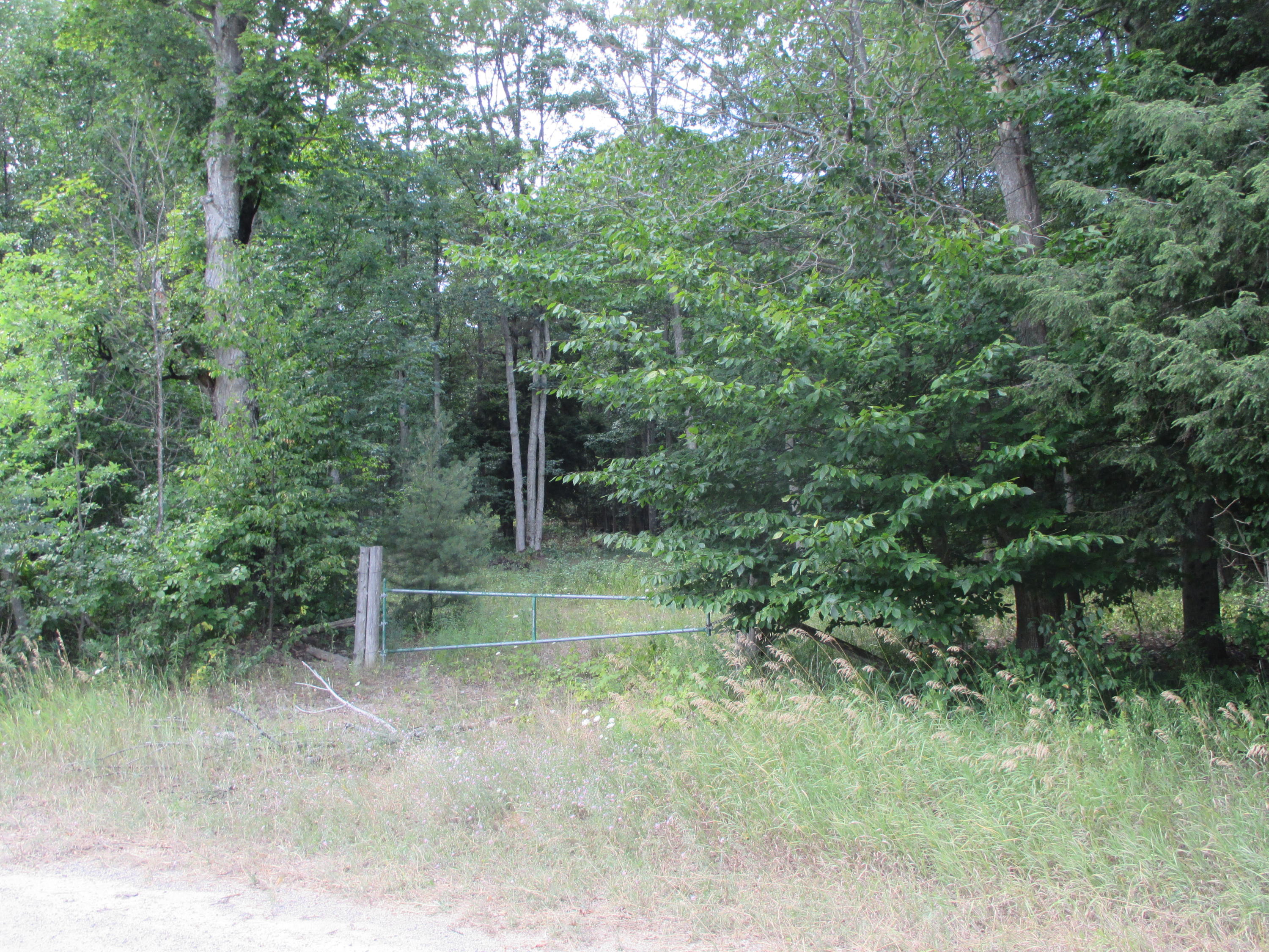 966 Sparr Road Gaylord, MI 49735 - Photo 7 of 7 Gallery Image 7