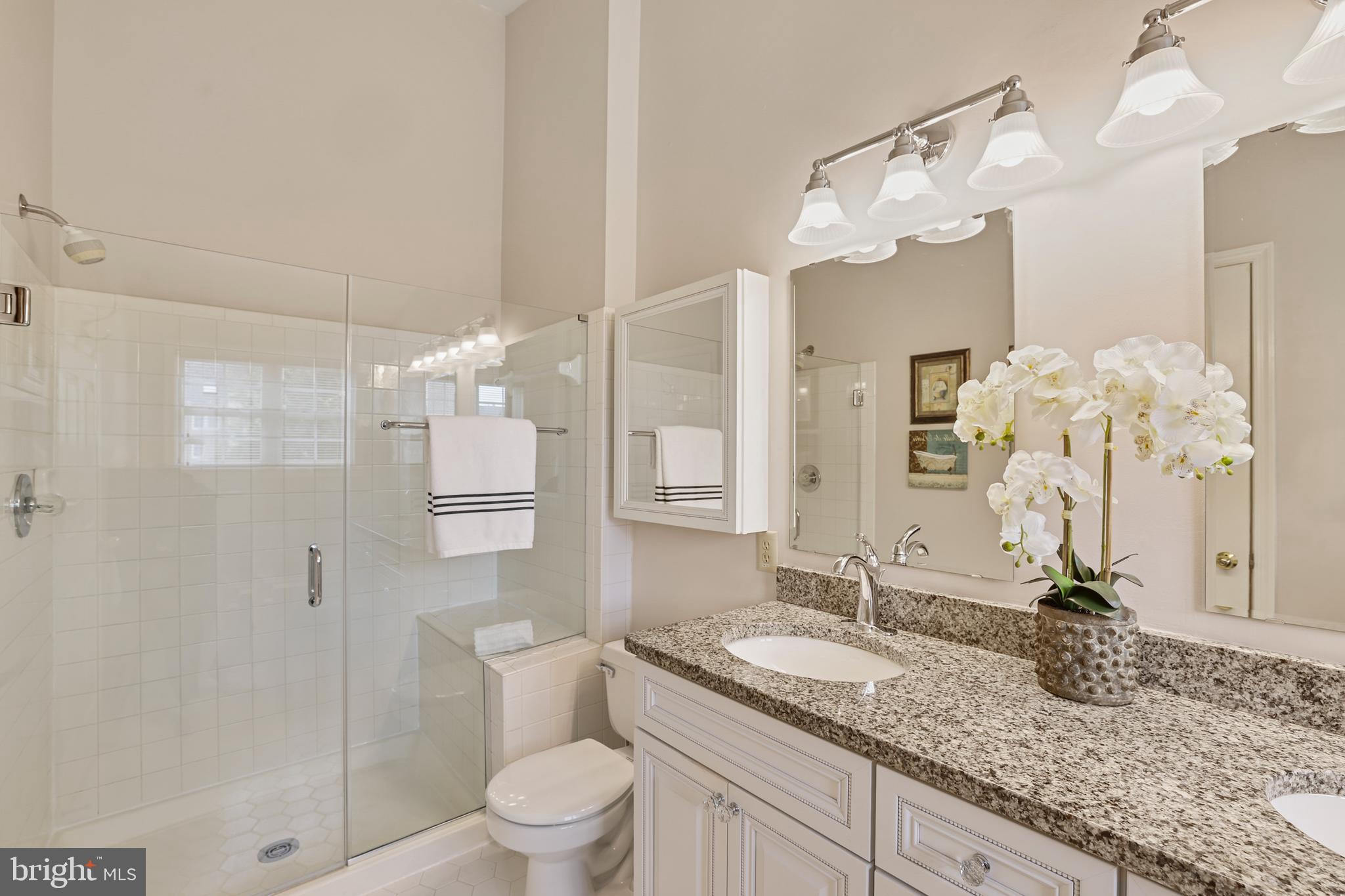 2128 Elm Tree Lane Silver Spring, MD 20906 - Photo 28 of 55 a bathroom with a granite countertop sink a toilet a mirror and shower