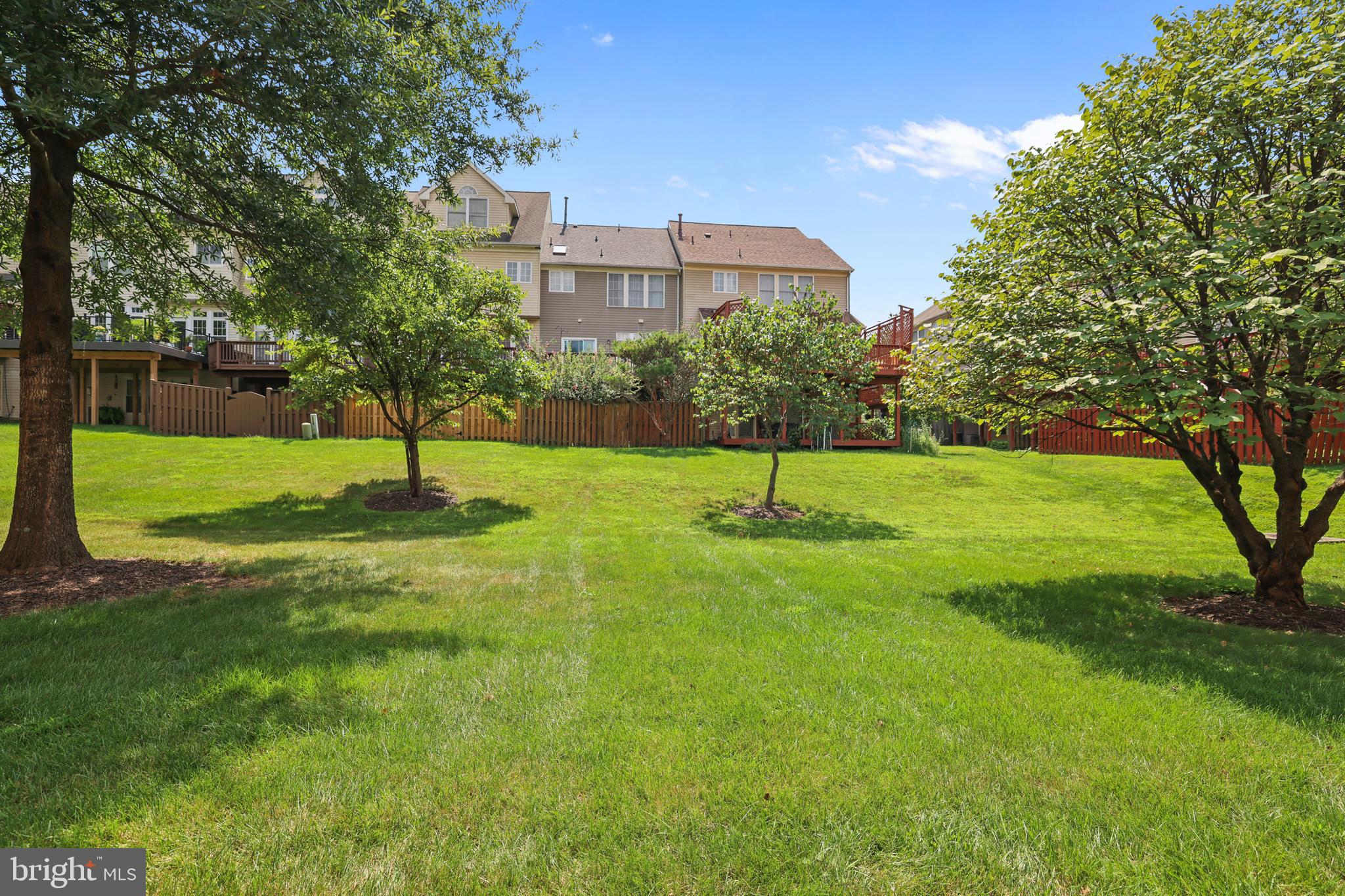 2128 Elm Tree Lane Silver Spring, MD 20906 - Photo 39 of 55 a view of a tree in a yard