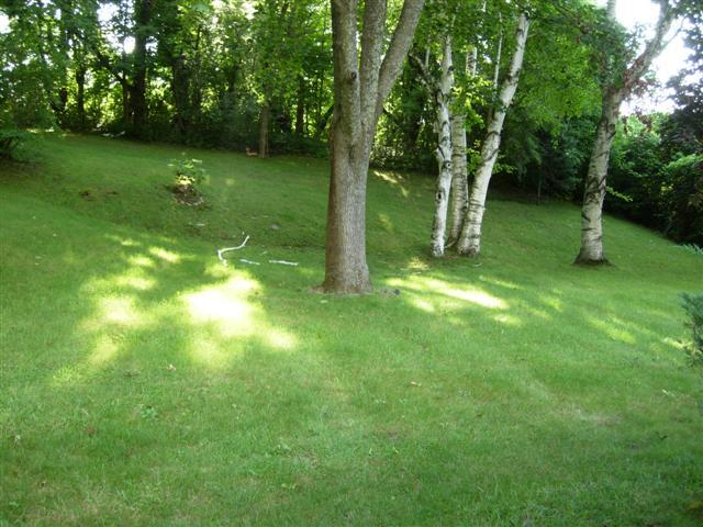 yard