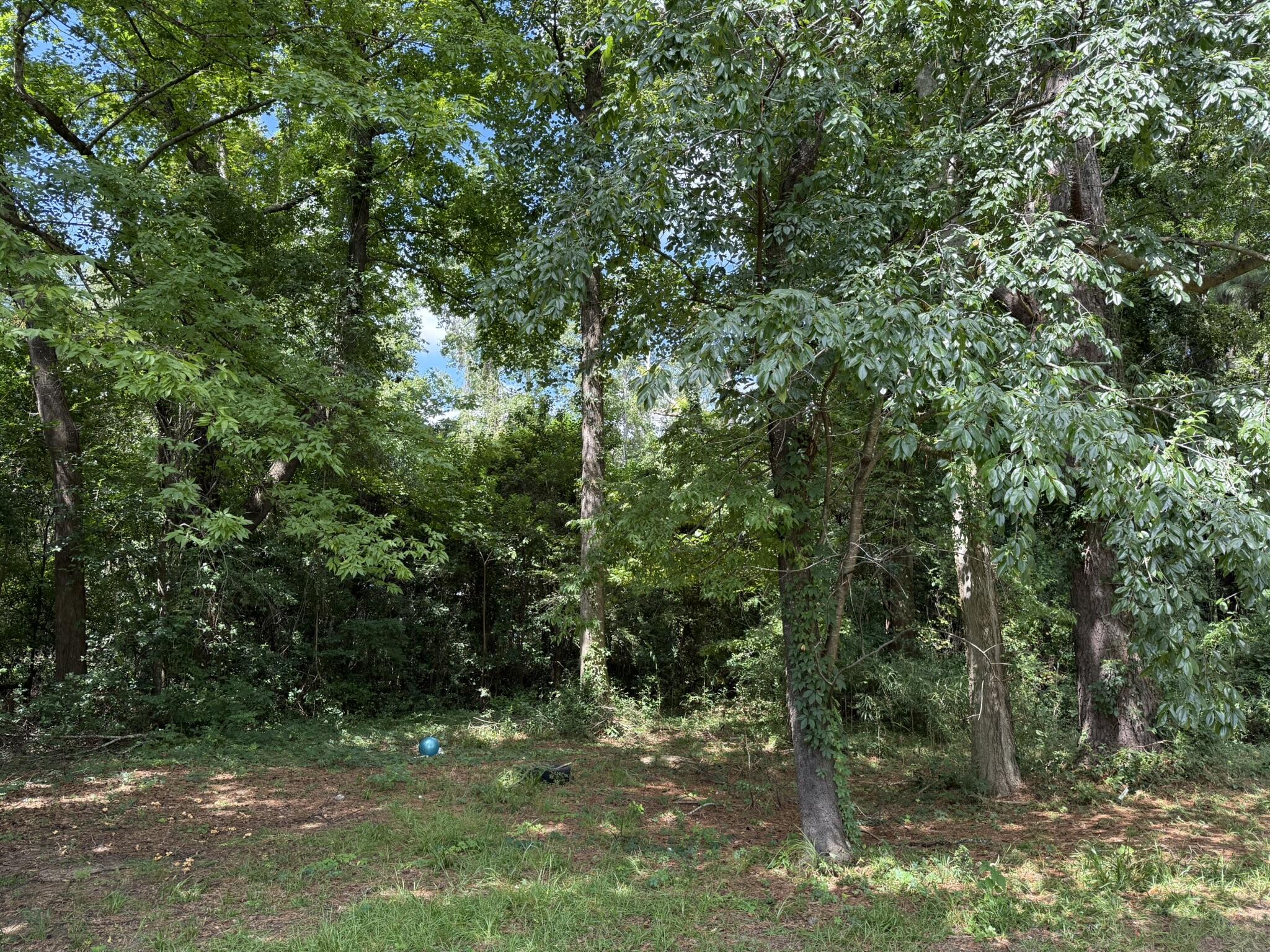 0 North Road Orangeburg, SC 29118 - Photo 3 of 6 IMG_0320