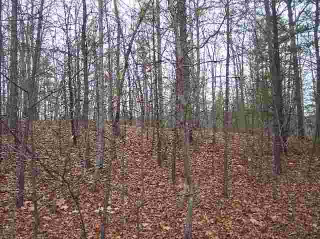Lot 17 Rockcrest Ridge Road Pickens, SC 29671 - Photo 3 of 6 Gallery Image 3
