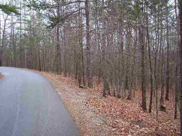 Lot 17 Rockcrest Ridge Road Pickens, SC 29671 - Photo 6 of 6 Gallery Image 6
