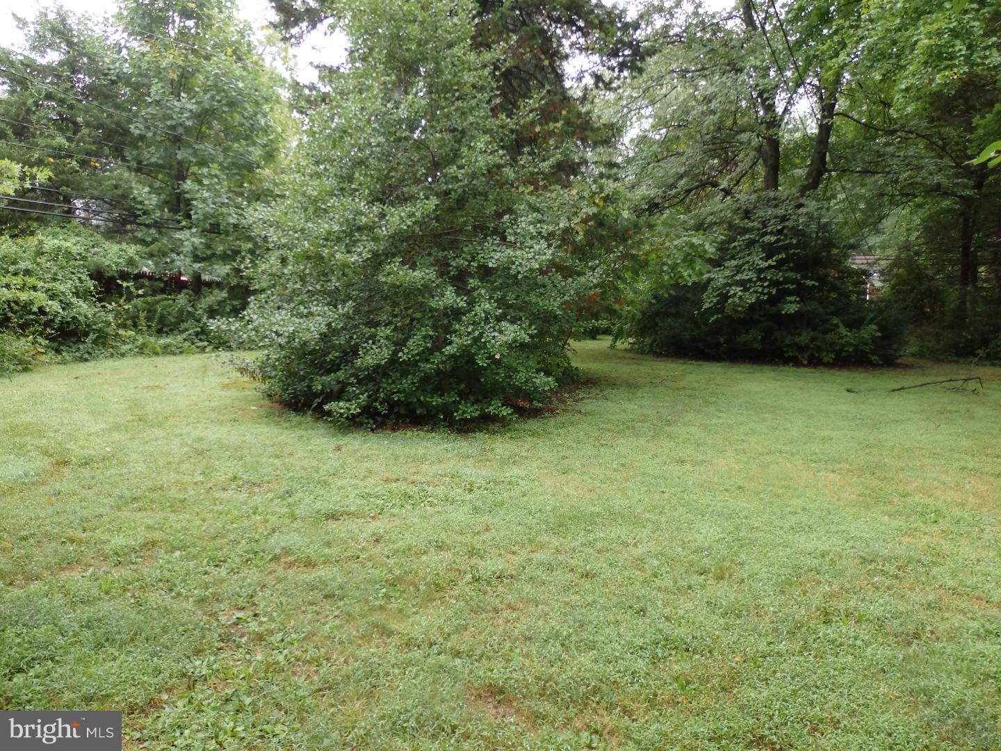 66 Schoolhouse Road Chalfont, PA 18914 - Photo 4 of 19 Back Yard