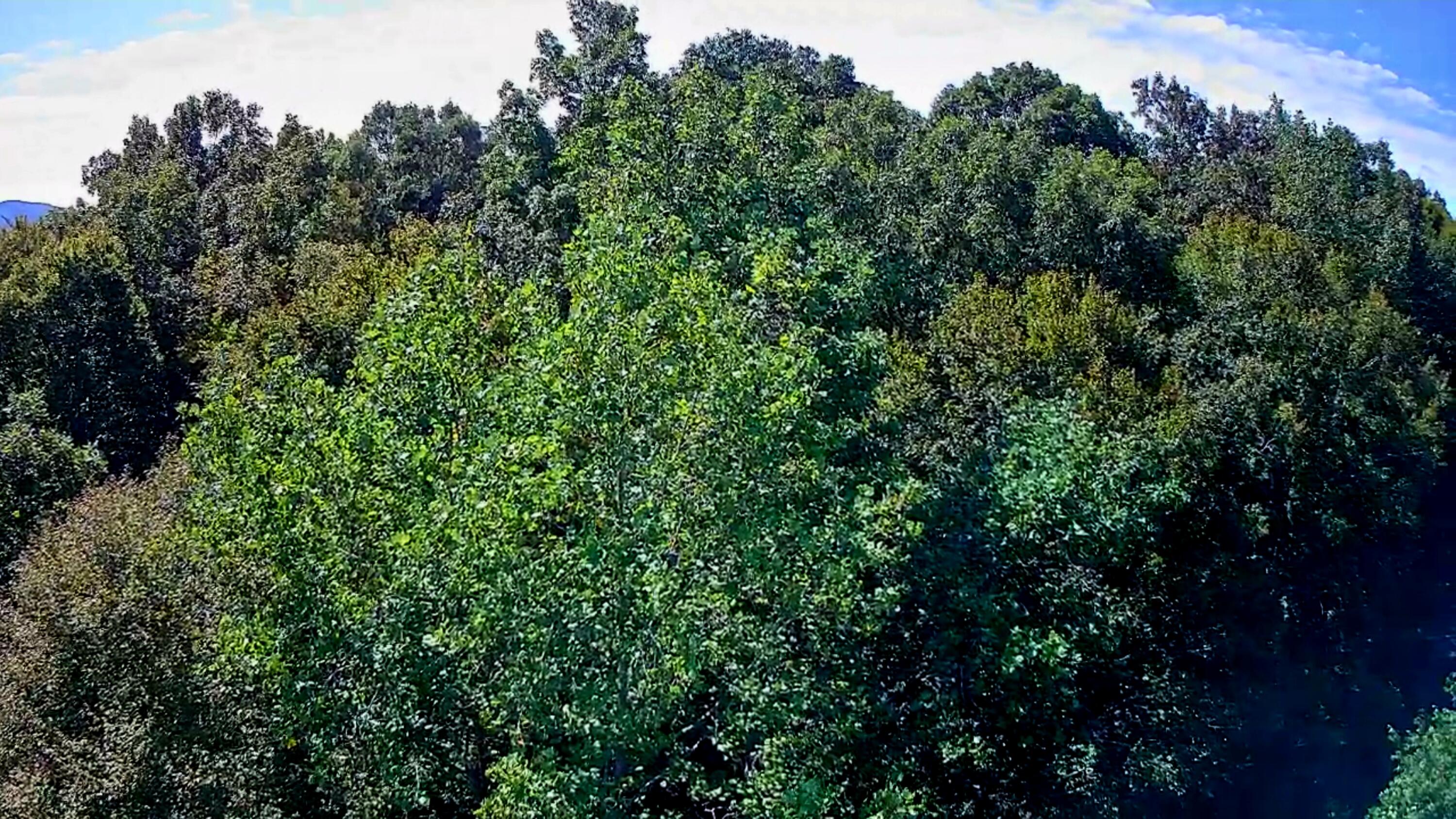 0 Old State Highway 28, Unit 28 Dunlap, TN 37327 - Photo 14 of 49 IMG_20250826_1028041