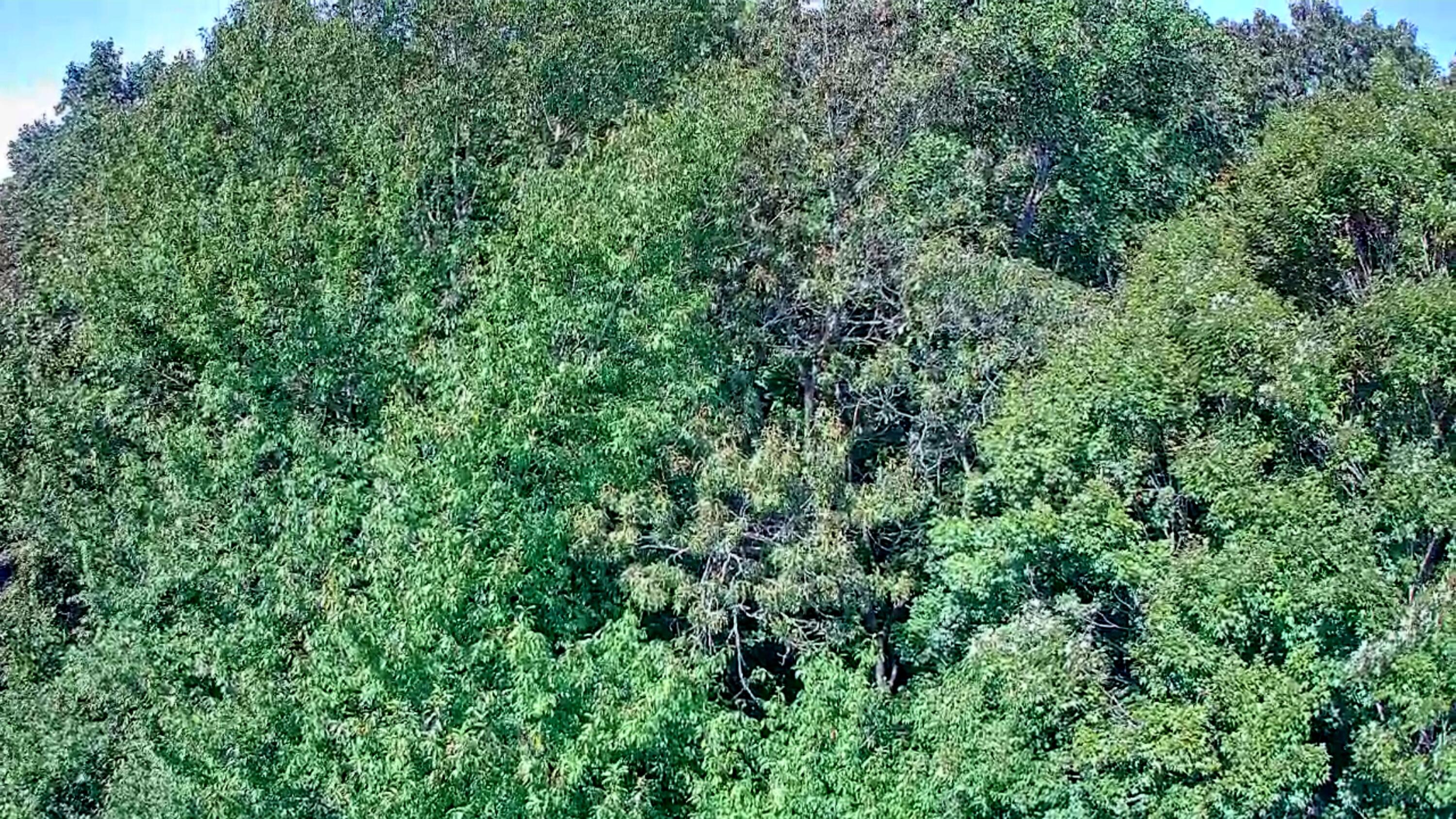 0 Old State Highway 28, Unit 28 Dunlap, TN 37327 - Photo 16 of 49 IMG_20250826_1028051