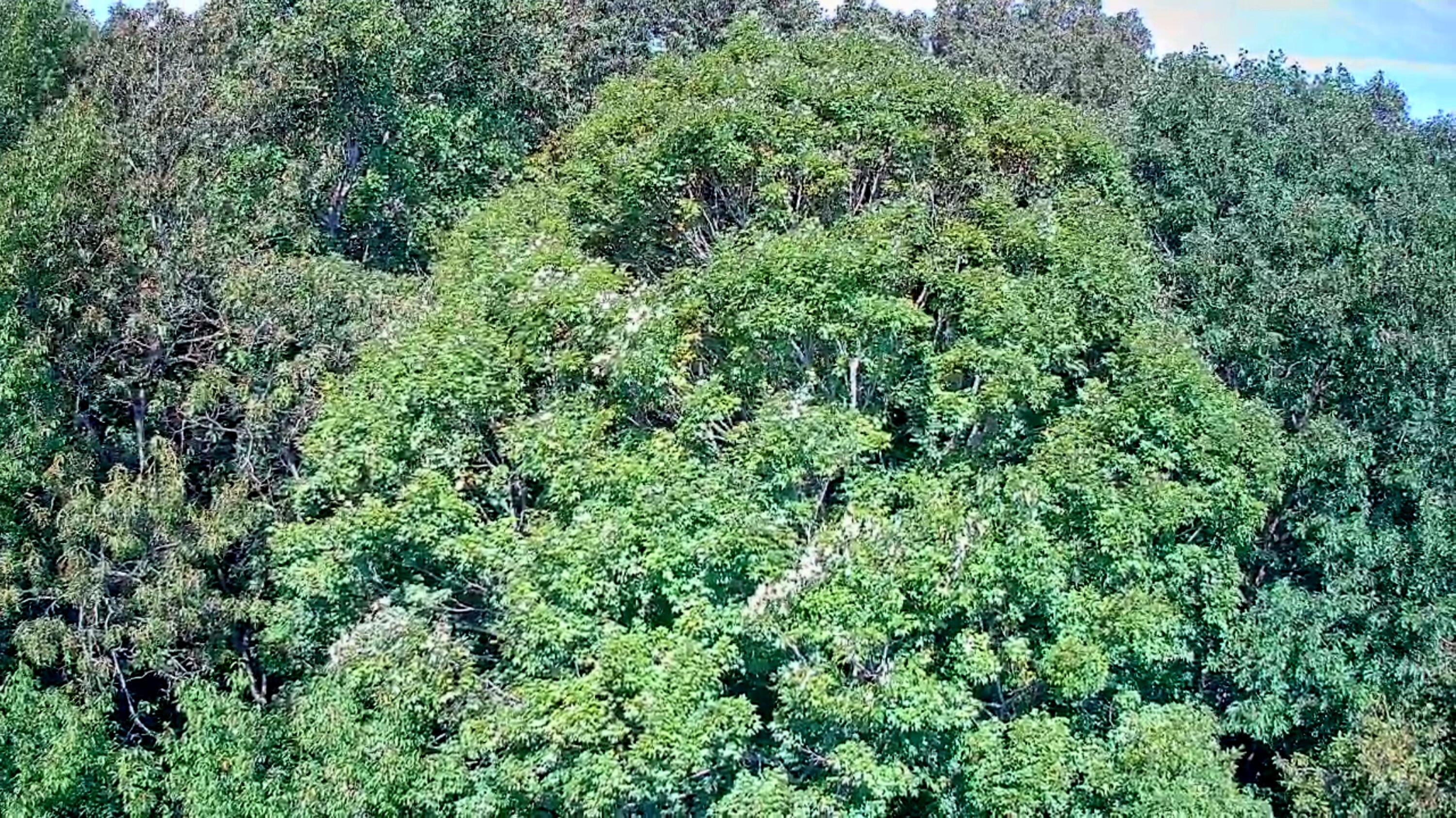 0 Old State Highway 28, Unit 28 Dunlap, TN 37327 - Photo 17 of 49 IMG_20250826_1028055