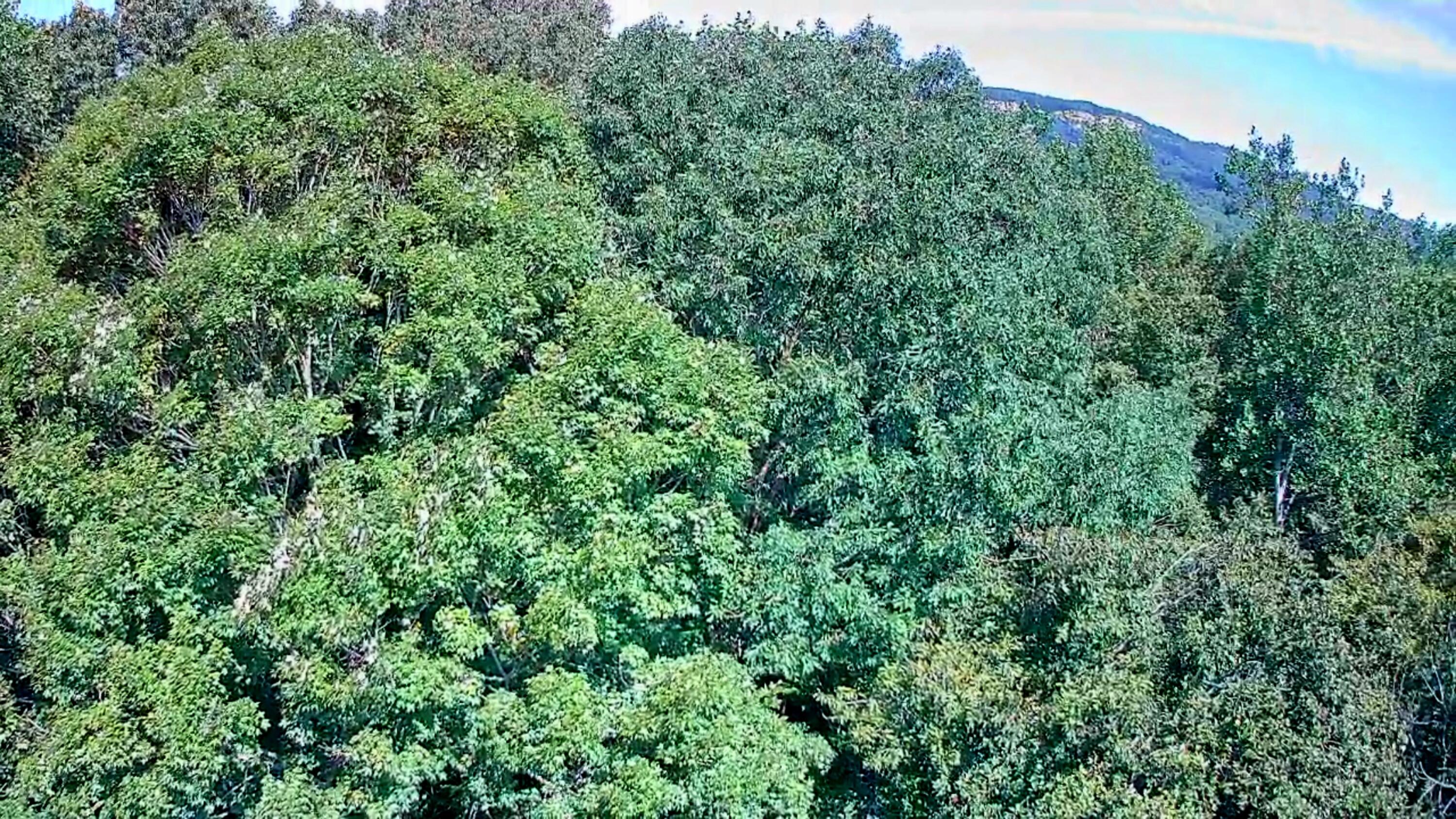 0 Old State Highway 28, Unit 28 Dunlap, TN 37327 - Photo 18 of 49 IMG_20250826_1029000