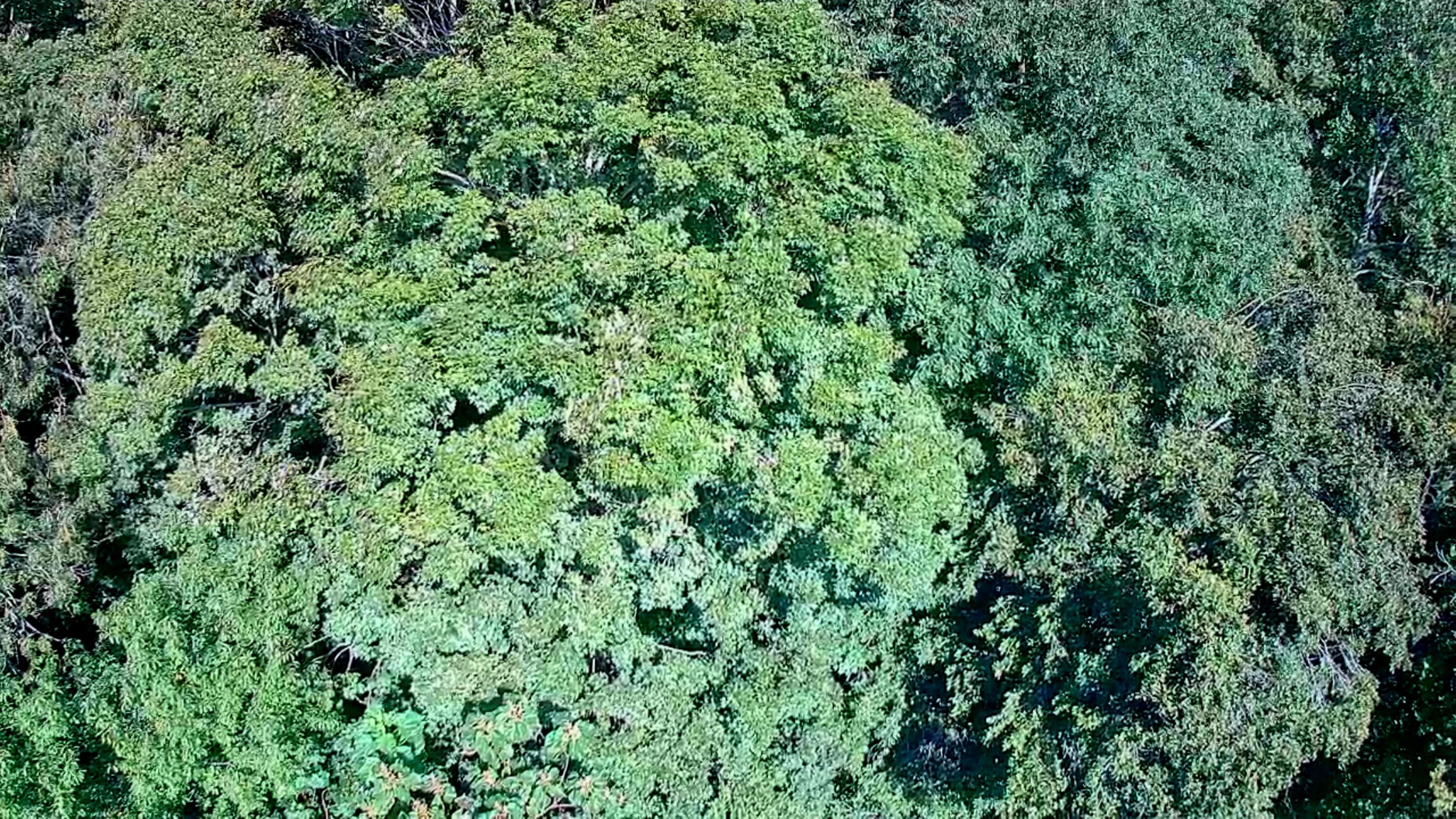 0 Old State Highway 28, Unit 28 Dunlap, TN 37327 - Photo 19 of 49 IMG_20250826_1030048