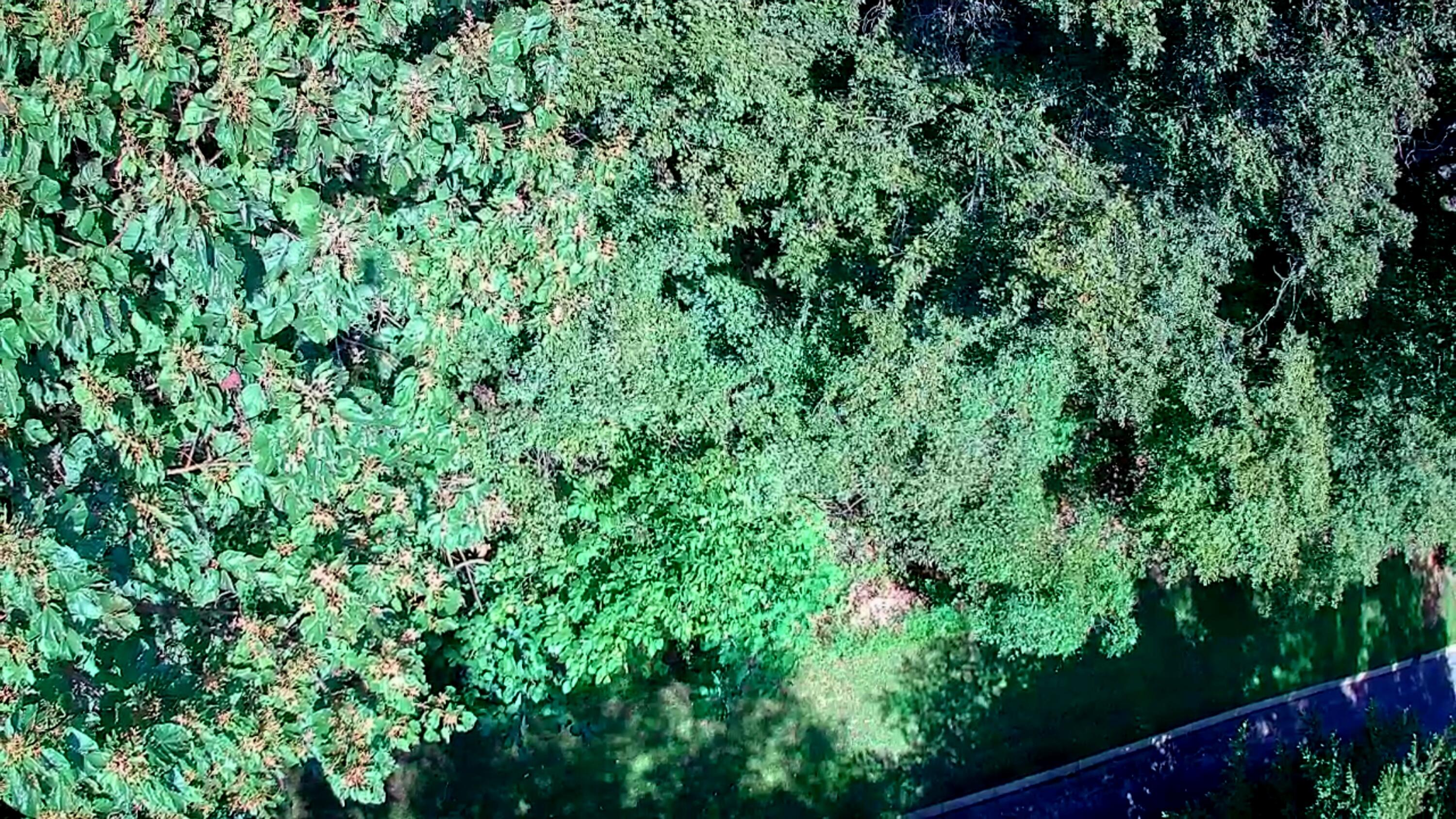 0 Old State Highway 28, Unit 28 Dunlap, TN 37327 - Photo 20 of 49 IMG_20250826_1031004