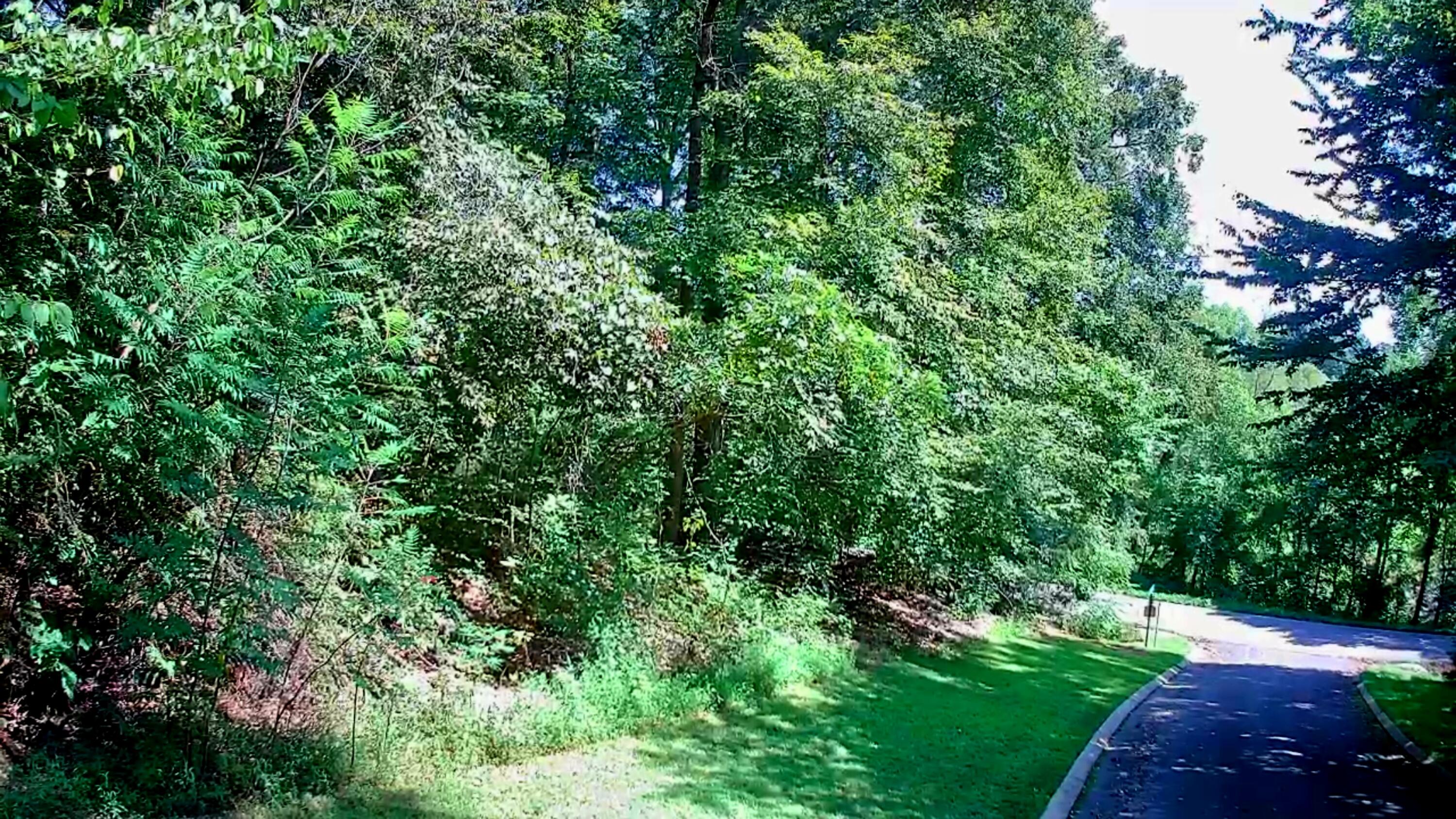 0 Old State Highway 28, Unit 28 Dunlap, TN 37327 - Photo 21 of 49 IMG_20250826_1032052