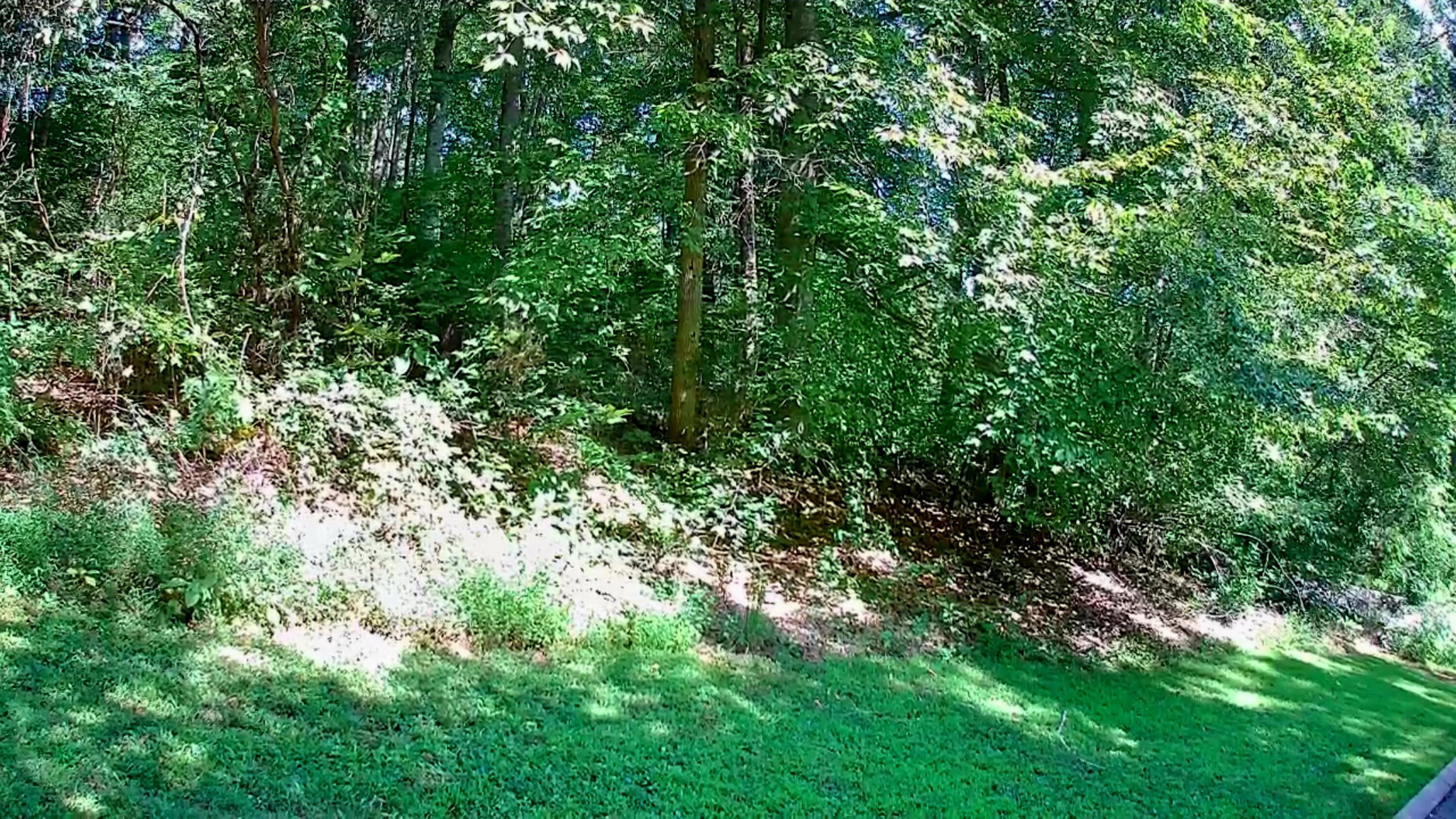 0 Old State Highway 28, Unit 28 Dunlap, TN 37327 - Photo 22 of 49 IMG_20250826_1033032