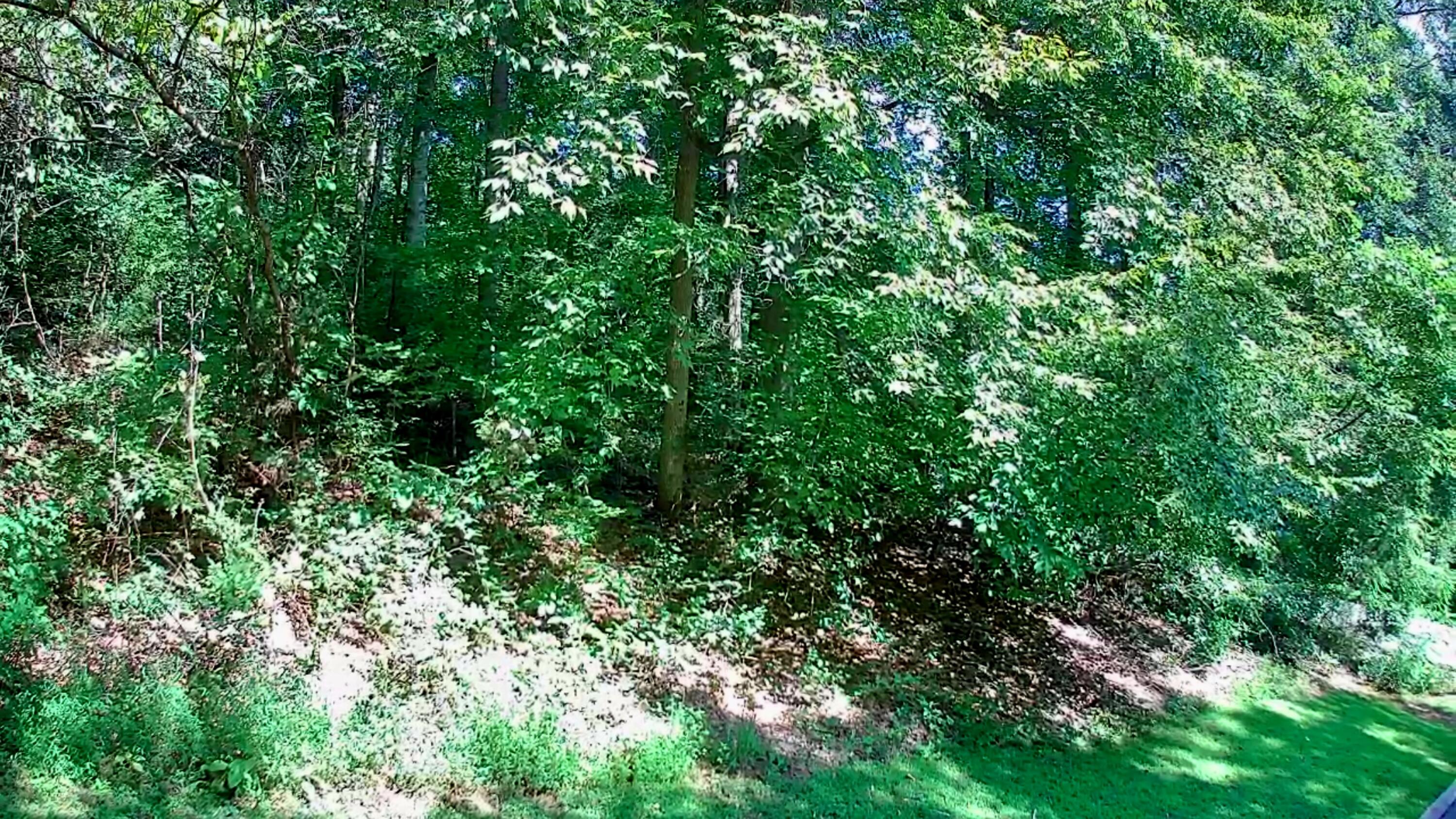 0 Old State Highway 28, Unit 28 Dunlap, TN 37327 - Photo 23 of 49 IMG_20250826_1033041