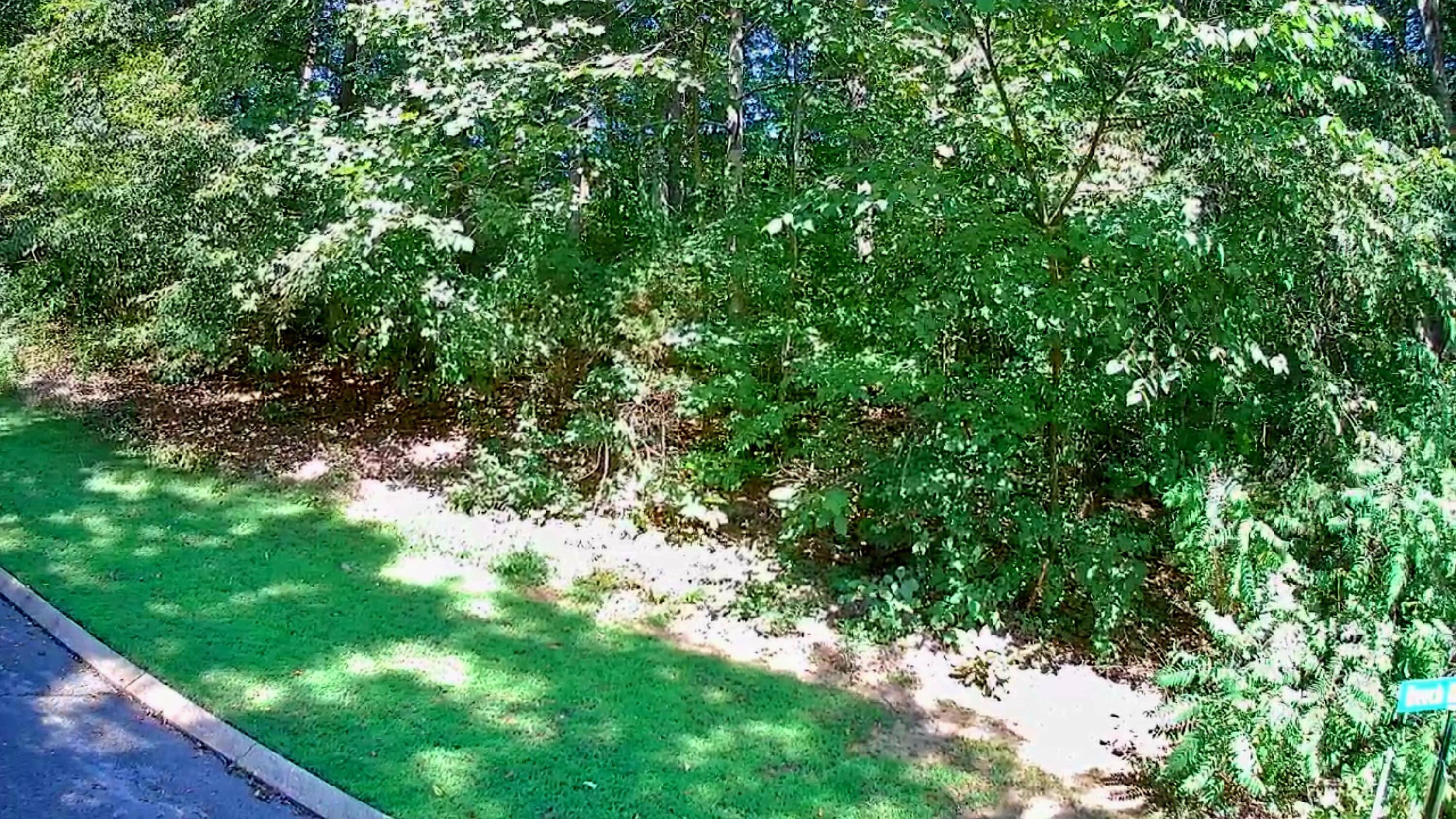 0 Old State Highway 28, Unit 28 Dunlap, TN 37327 - Photo 27 of 49 IMG_20250826_1035028