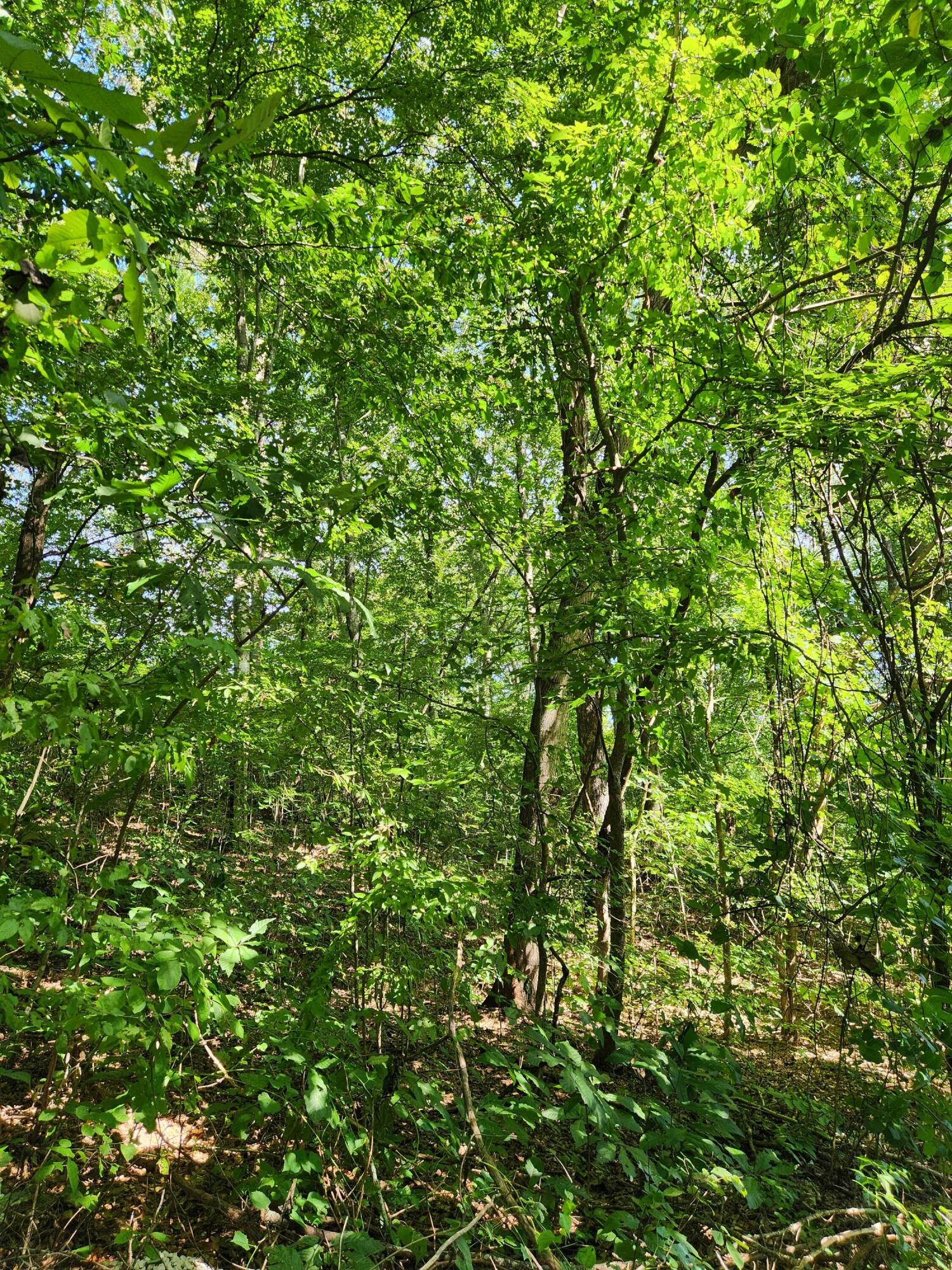 0 Old State Highway 28, Unit 28 Dunlap, TN 37327 - Photo 3 of 49 20250826_102138